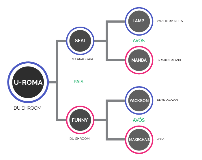 U-ROMA