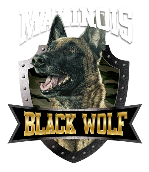 logo-malinois-fundo-escuro